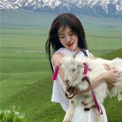 汪汪队立大功第一季